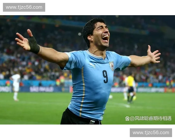 2010年世界杯精彩回顾与经典瞬间全解析